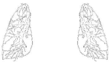 Florence And The Machine Heart Sticker by natscanfly