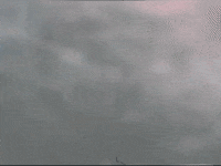Footage Oaf GIF by jorgemariozuleta