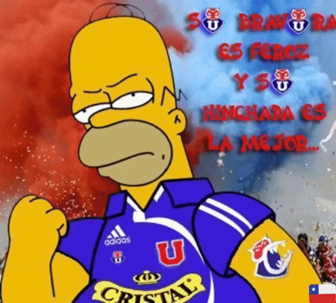 Homero Chileno GIF
