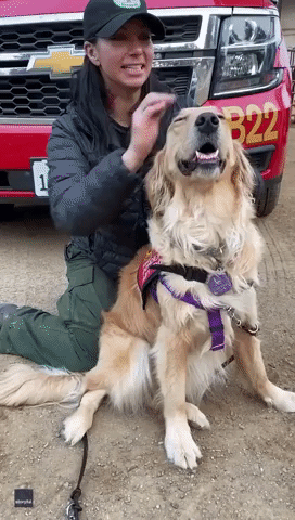 Therapy Dog Comforts Firefighter Battling Caldor Fire