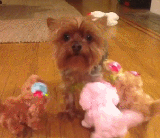 family children GIF