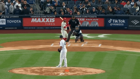 tesstass giphyupload GIF