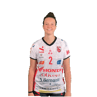 Italian Sport Sticker by cuneo_granda_volley