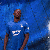 Sport Bundesliga GIF by TSG Hoffenheim