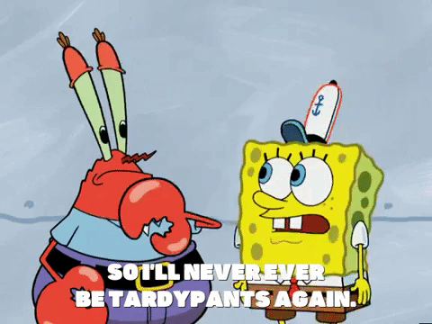 Season 5 New Digs GIF by SpongeBob SquarePants