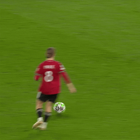 Magic Park GIF by Manchester United