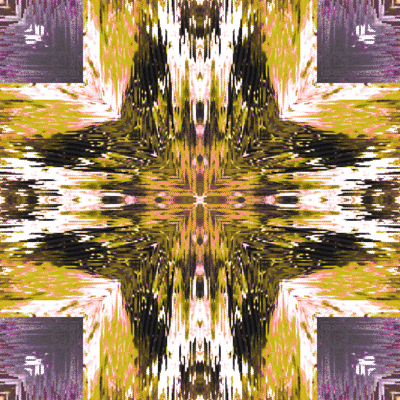 GIF by Leo Pyrata