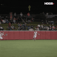 Softball Catch GIF by Hogs+