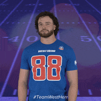 Buffalo Bills Football GIF by West Herr
