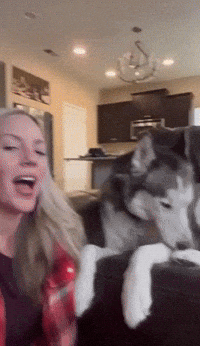 Colorado Husky Says 'I Love You' to Owner