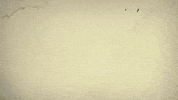 Stars Club GIF by Xerjoff