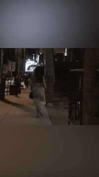 Prank Laughing GIF by Freaky The Scary Snowman