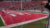 touchdown buckeyes ohio state michigan football nfl season GIF