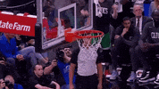 Celebrating Boston Celtics GIF by NBC Sports Boston