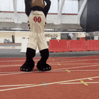Sad Football GIF by Bearcat
