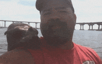 friend seal GIF by America's Funniest Home Videos
