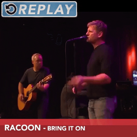 bring it on racoon GIF by NPO Radio 2