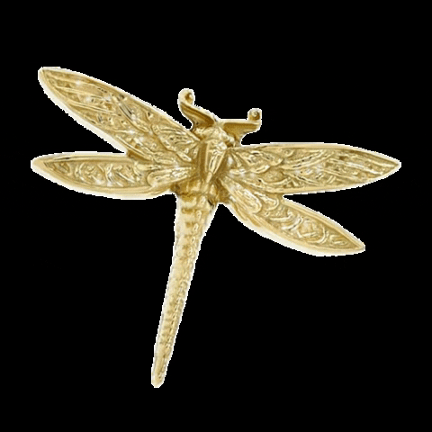 Anatometal giphygifmaker gold piercing dragonfly GIF