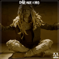 dave made a maze lol GIF by Arrow Video