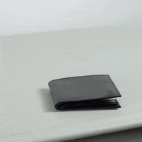 jethroames funny lol money trending GIF
