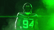 Ny Jets Football GIF by New York Jets