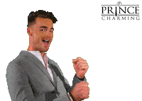 Swipe Up Prince Charming Sticker by Videoland