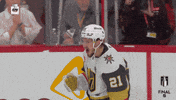 Happy Stanley Cup GIF by NHL