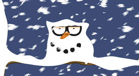 snow winter GIF by Alex the owl
