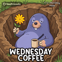 Wake Up Coffee GIF by VeeFriends