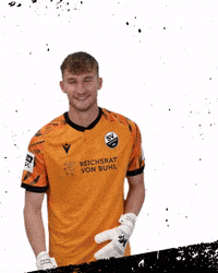 3Liga GIF by SV Sandhausen