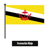 Brunei Flag Sticker by Formación Ninja