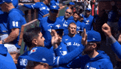 Blue Jays Baseball GIF by Toronto Blue Jays
