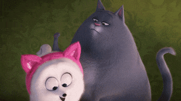 Stick It Falling GIF by The Secret Life Of Pets