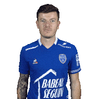 Ligue 1 Love Sticker by estac_troyes