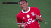 Sl Benfica Slbgif GIF by Sport Lisboa e Benfica