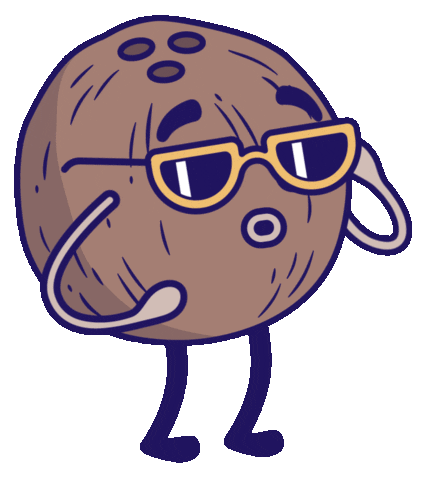 SomosWhyNot giphyupload coco somoswhynot Sticker