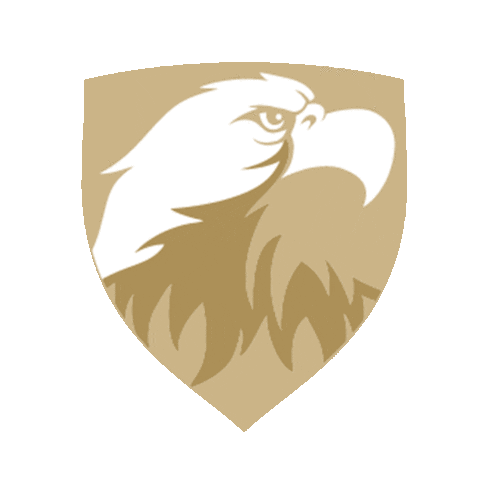 eagle talon Sticker by Grantham University