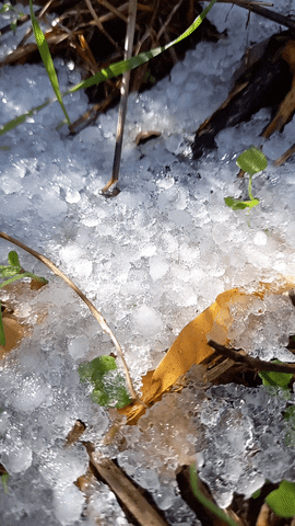 Simongip giphyupload GIF