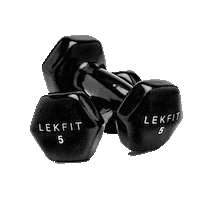 Los Angeles Fitness Sticker by LEKFIT