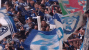 Football Soccer GIF by FC Schalke 04