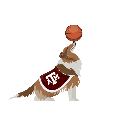 College Basketball Mascot Sticker by Wells Fargo
