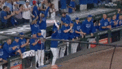 Celebrate Chicago Cubs GIF by MLB