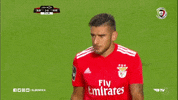 eduardo salvio slbgifs GIF by Sport Lisboa e Benfica