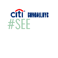 citi governorsball Sticker by GOV BALL NYC