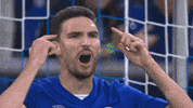 Veltins Arena Game GIF by FC Schalke 04