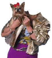 dog doggie Sticker by vrt