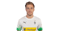 Patrick Herrmann Bundesliga Sticker by Borussia Mönchengladbach