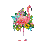 marcellawylie party beach tropical jungle Sticker