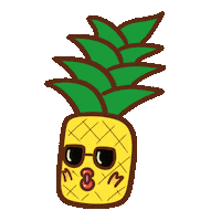 Pineapple パイナップル Sticker