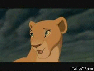 nala GIF